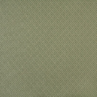 Charlotte Fabrics 6733 Ivy/Diamond White Upholstery polyester  Blend Fire Rated Fabric