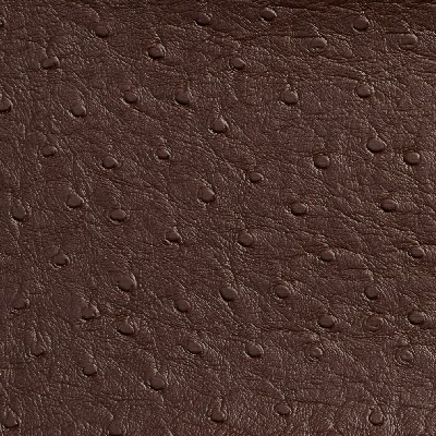 Charlotte Fabrics 7706 Espresso Brown Upholstery Virgin  Blend Fire Rated Fabric Automotive Vinyls