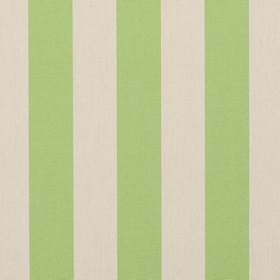 Charlotte Fabrics 9542 Spring Stripe Green Upholstery Solution  Blend Fire Rated Fabric High Wear Commercial Upholstery CA 117 Stripes and Plaids Outdoor 