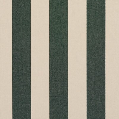 Charlotte Fabrics 9548 Hunter Stripe Green Upholstery Solution  Blend Fire Rated Fabric High Wear Commercial Upholstery CA 117 Stripes and Plaids Outdoor 