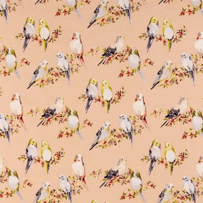 Charlotte Fabrics CB600 205 Shades of Adobe CB600-205 Pink Multipurpose Cotton Cotton Fire Rated Fabric Birds and Feather  High Wear Commercial Upholstery CA 117  NFPA 260  Fabric