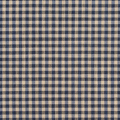 Charlotte Fabrics D120 Indigo Gingham Blue Multipurpose Woven  Blend Fire Rated Fabric High Wear Commercial Upholstery CA 117 Woven 
