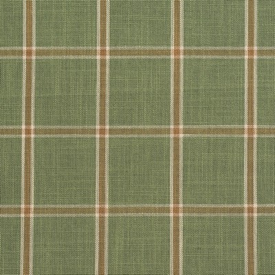 Charlotte Fabrics D140 Juniper Windowpane Green Multipurpose Woven  Blend Fire Rated Fabric Large Check Check High Wear Commercial Upholstery CA 117 Woven 