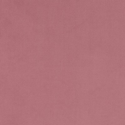 Charlotte Fabrics D1480 Rose Pink Multipurpose Polyester Fire Rated Fabric High Wear Commercial Upholstery CA 117 NFPA 260 Solid Velvet 