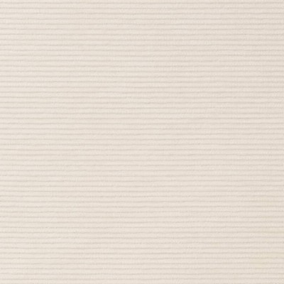 Charlotte Fabrics D2294 Cotton White Upholstery Polyester Fire Rated Fabric Crypton Texture Solid High Wear Commercial Upholstery CA 117 NFPA 260 Solid Velvet 