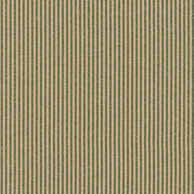 Charlotte Fabrics D2382 Pine Green Multipurpose Polyester  Blend Fire Rated Fabric Heavy Duty CA 117 NFPA 260 Striped Ticking Stripe 
