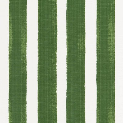 Charlotte Fabrics D2510 Green Green Multipurpose Polyester Fire Rated Fabric High Performance CA 117 NFPA 260 Stripes and Plaids Outdoor 