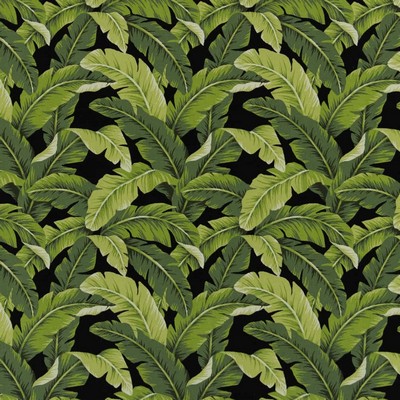 Charlotte Fabrics D2715 Rainforest Green Multipurpose Spun  Blend Fire Rated Fabric High Performance CA 117 NFPA 260 Tropical Leaves and Trees Floral Outdoor 