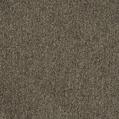 Charlotte Fabrics D2975 Ash Chenille III D2975 Grey Upholstery Polyester Polyester Fire Rated Fabric Heavy Duty CA 117  NFPA 260  Woven  Fabric