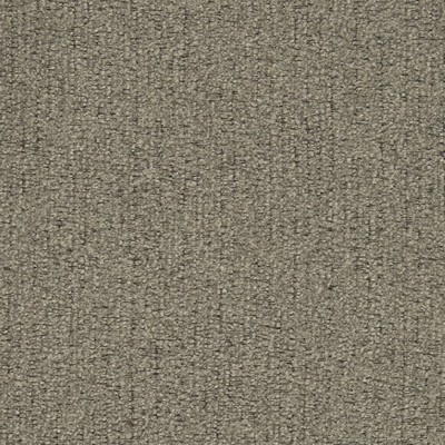 Charlotte Fabrics D2976 Nickle Chenille III D2976 Gray Upholstery Polyester Polyester Fire Rated Fabric Heavy Duty CA 117  NFPA 260  Woven  Fabric