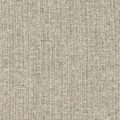 Charlotte Fabrics D3014 Pewter Chenille III D3014 Silver Upholstery Polyester Polyester Fire Rated Fabric Heavy Duty CA 117  NFPA 260  Woven  Fabric