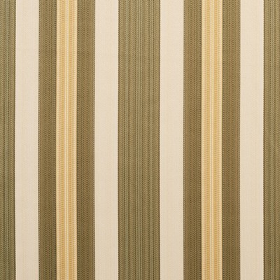 Charlotte Fabrics D303 Juniper Noble Stripe Green Multipurpose Polyester  Blend Fire Rated Fabric Heavy Duty CA 117 Damask Jacquard Wide Striped 