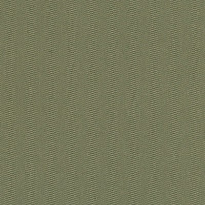 Charlotte Fabrics D3383 Army Washed Cotton D3383 Green Multipurpose 100%  Blend Fire Rated Fabric Canvas  High Wear Commercial Upholstery CA 117  NFPA 260  Fabric