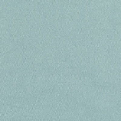 Charlotte Fabrics D3413 Sea Washed Cotton D3413 Green Multipurpose 100%  Blend Fire Rated Fabric Canvas  High Wear Commercial Upholstery CA 117  NFPA 260  Fabric