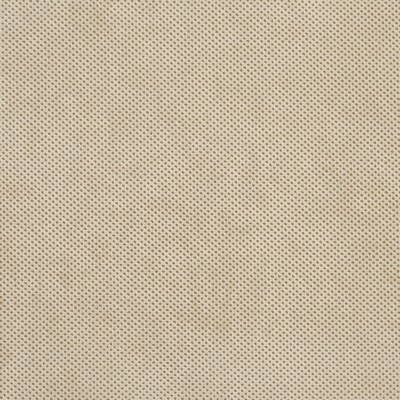 Charlotte Fabrics D532 Bisque Texture Multipurpose Nylon  Blend Fire Rated Fabric High Wear Commercial Upholstery CA 117 Microsuede Solid Velvet 