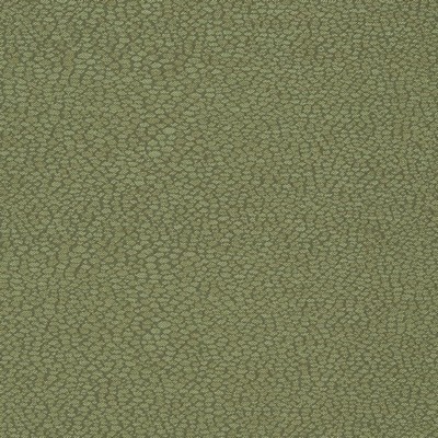 Charlotte Fabrics D898 Pebble/Sage Green Upholstery Woven  Blend Fire Rated Fabric High Wear Commercial Upholstery CA 117 NFPA 260 Damask Jacquard 