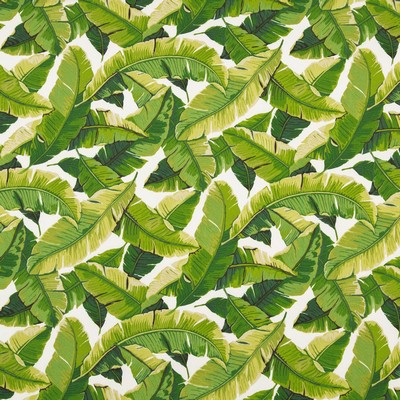 Charlotte Fabrics D948 Palm Green Multipurpose Acrylic Fire Rated Fabric Heavy Duty CA 117 NFPA 260 Tropical Leaves and Trees 