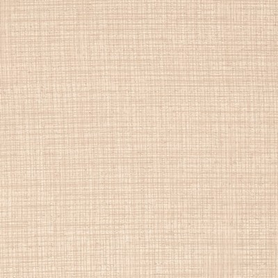 Charlotte Fabrics SH110 Putty Sheer Elegance SH110 Beige Sheer Polyester Polyester Fire Rated Fabric CA 117  NFPA 260  NFPA 701 Flame Retardant  Fabric