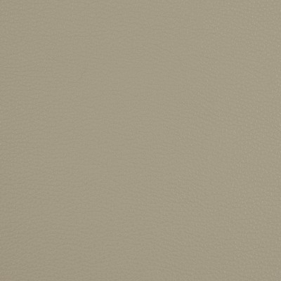 Charlotte Fabrics V209 Pewter Silver Upholstery Vinyl/Polyurethane  Blend Fire Rated Fabric High Wear Commercial Upholstery Solid Faux LeatherCA 117 Automotive Vinyls