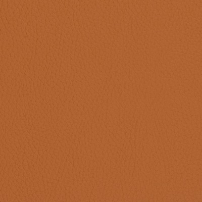 Charlotte Fabrics V427 Burnt Sienna Orange Upholstery Virgin  Blend Fire Rated Fabric High Wear Commercial Upholstery CA 117 NFPA 260 Solid Outdoor Automotive VinylsMarine and Auto Vinyl