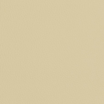 Charlotte Fabrics V428 Ivory Beige Upholstery Virgin  Blend Fire Rated Fabric High Wear Commercial Upholstery CA 117 NFPA 260 Solid Outdoor Automotive VinylsMarine and Auto Vinyl