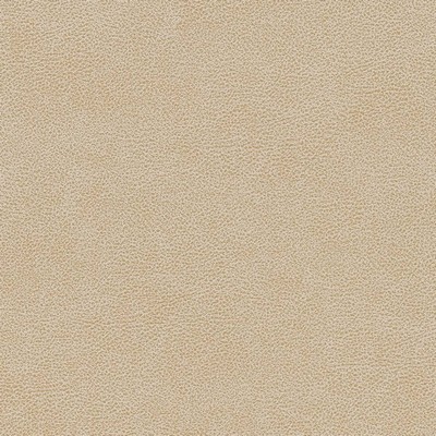 Charlotte Fabrics V502 Sand Dollar Brown Upholstery Breathable  Blend Fire Rated Fabric High Wear Commercial Upholstery Solid Faux LeatherFlame Retardant Vinyl CA 117 NFPA 260 Solid Color VinylAutomotive Vinyls