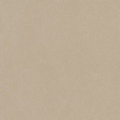 Charlotte Fabrics V506 Linen Beige Upholstery Breathable  Blend Fire Rated Fabric High Wear Commercial Upholstery Solid Faux LeatherFlame Retardant Vinyl CA 117 NFPA 260 Solid Color VinylAutomotive Vinyls