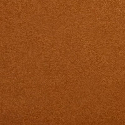 Charlotte Fabrics V644 Palomino Brown Upholstery Vinyl/Polyurethane  Blend Fire Rated Fabric High Wear Commercial Upholstery CA 117 NFPA 260 
