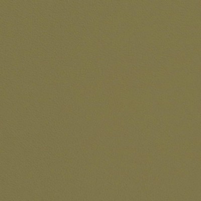 Charlotte Fabrics V660 Sage Green Upholstery 100%  Blend Fire Rated Fabric High Wear Commercial Upholstery Solid Faux LeatherCA 117 NFPA 260 Leather Look VinylCommercial VinylMarine and Auto Vinyl