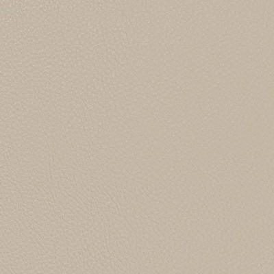 Charlotte Fabrics V731 Fog Gray Upholstery PVC  Blend Fire Rated Fabric High Wear Commercial Upholstery CA 117 NFPA 260 Commercial Vinyl