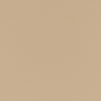 Charlotte Fabrics V780 Taupe Value Vinyl III V780 Brown Upholstery Face:  Blend Fire Rated Fabric High Wear Commercial Upholstery CA 117  NFPA 260  Automotive Vinyls Fabric