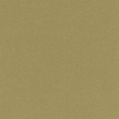 Charlotte Fabrics V790 Moss Value Vinyl III V790 Green Upholstery Face:  Blend Fire Rated Fabric High Wear Commercial Upholstery CA 117  NFPA 260  Automotive Vinyls Fabric