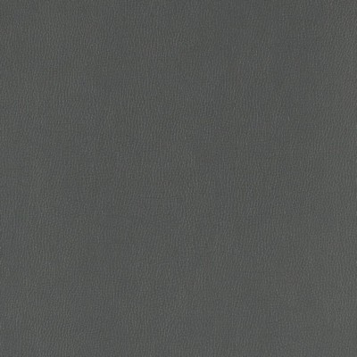 Charlotte Fabrics V805 Coal Value Vinyl III V805 Blue Upholstery Face:  Blend Fire Rated Fabric High Wear Commercial Upholstery CA 117  NFPA 260  Automotive Vinyls Fabric