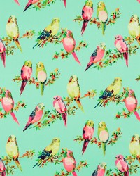 Birds and Feather Fabric