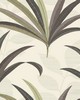 York Wallcovering El Morocco Palm Wallpaper Beiges