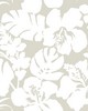 York Wallcovering Hibiscus Arboretum Wallpaper Cream
