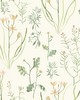 York Wallcovering Alpine Botanical Wallpaper White/Off Whites