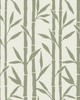 York Wallcovering Bamboo Grove Wallpaper Green/White