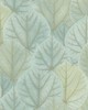 York Wallcovering Leaf Concerto Wallpaper Turquoise