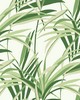 York Wallcovering Tropical Paradise Wallpaper Green/White
