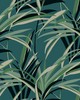 York Wallcovering Tropical Paradise Wallpaper Green/Teal 