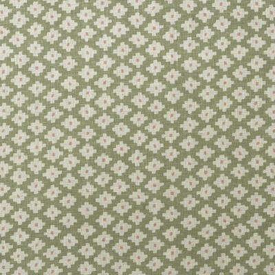 Kravet Maze AM100381 123 Fennel ANDREW MARTIN GARDEN PATH AM100381.123 Green Multipurpose -  Blend Floral Diamond  Small Print Floral  Fabric