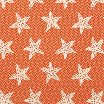 Greenhouse Fabrics A8036 FIRECRACKER in D79 Orange POLYPROPYLENE  Blend Fire Rated Fabric Sea Shell  Outdoor Textures and Patterns  Fabric