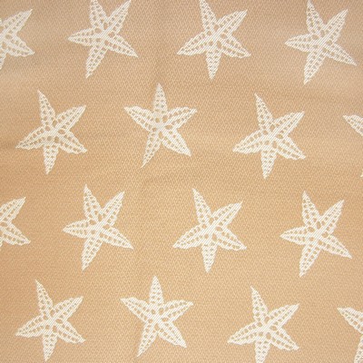 Greenhouse Fabrics A8063 SAND in D79 Brown POLYPROPYLENE  Blend Fire Rated Fabric Sea Shell  Outdoor Textures and Patterns  Fabric